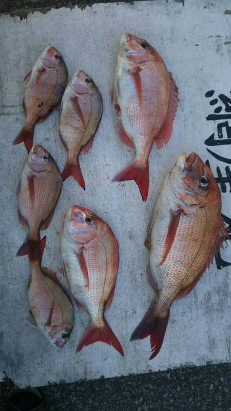 網屋丸 釣果