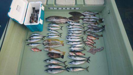 気仙沼 つり丸 釣果