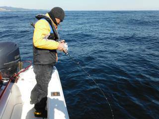開進丸 釣果