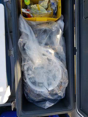 遊漁船 ニライカナイ 釣果