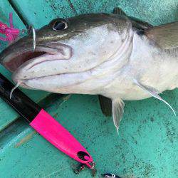 広進丸 釣果