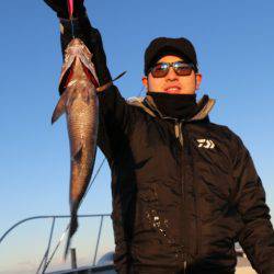 へいみつ丸 釣果