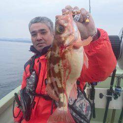 気仙沼　つり丸 釣果