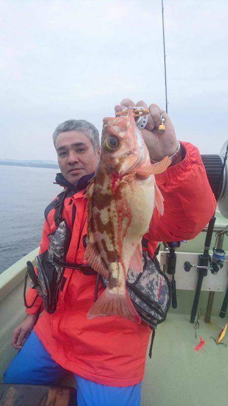 気仙沼　つり丸 釣果