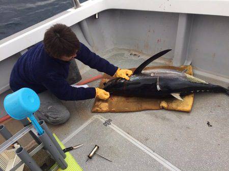 へいみつ丸 釣果