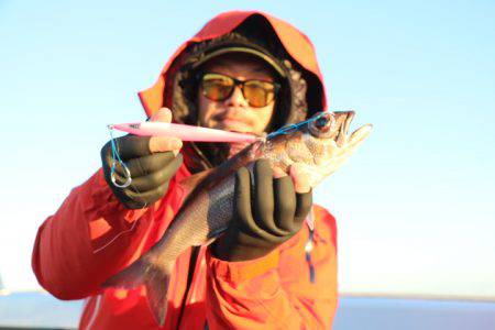 へいみつ丸 釣果