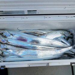 遊漁船 ニライカナイ 釣果