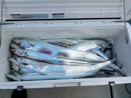 遊漁船 ニライカナイ 釣果