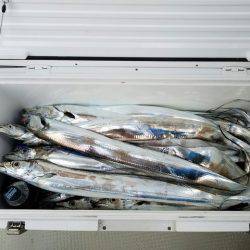 遊漁船 ニライカナイ 釣果