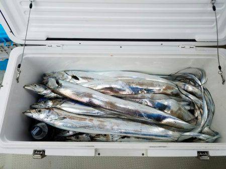 遊漁船 ニライカナイ 釣果