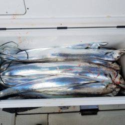 遊漁船 ニライカナイ 釣果