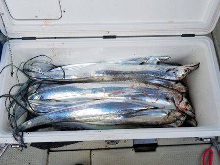 遊漁船 ニライカナイ 釣果