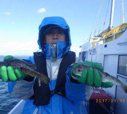 石川丸 釣果
