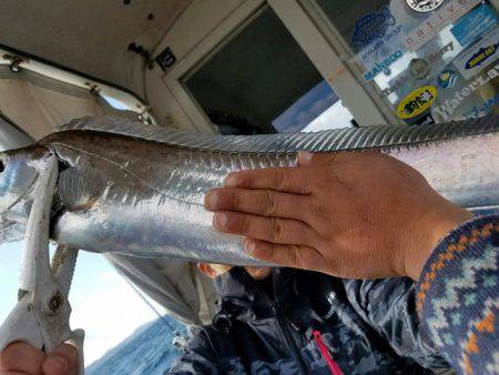 遊漁船　ニライカナイ 釣果