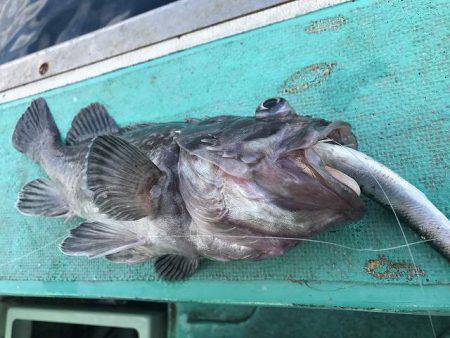 広進丸 釣果