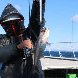 へいみつ丸 釣果