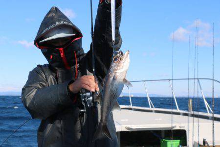 へいみつ丸 釣果