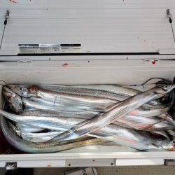 遊漁船 ニライカナイ 釣果