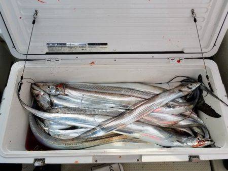 遊漁船 ニライカナイ 釣果