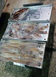 ディープ オーシャン 釣果