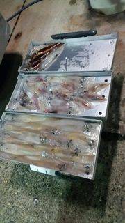 ディープ オーシャン 釣果