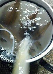 ディープ オーシャン 釣果