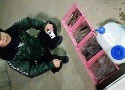 ディープ オーシャン 釣果