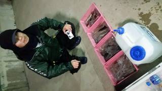 ディープ オーシャン 釣果