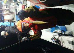 ディープ オーシャン 釣果