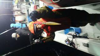 ディープ オーシャン 釣果