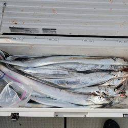 遊漁船 ニライカナイ 釣果