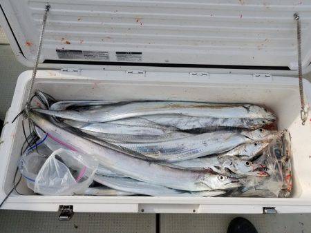 遊漁船 ニライカナイ 釣果