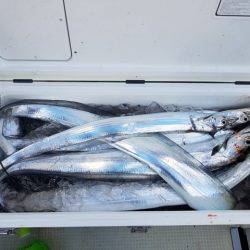 遊漁船 ニライカナイ 釣果