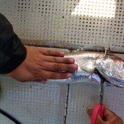 遊漁船 ニライカナイ 釣果