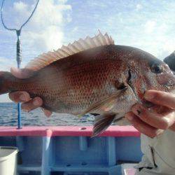 海正丸 釣果