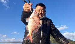 YELLOW-TAIL イエローテール 釣果