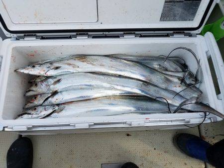 遊漁船　ニライカナイ 釣果