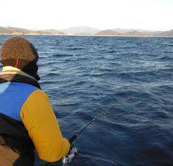 開進丸 釣果