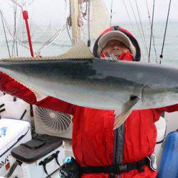 スカイマリン 釣果