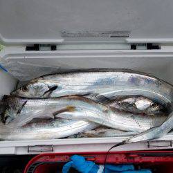 遊漁船 ニライカナイ 釣果