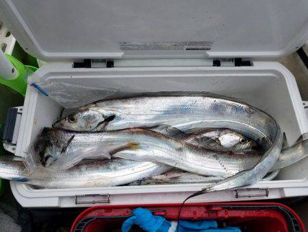 遊漁船 ニライカナイ 釣果