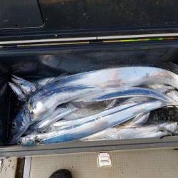 遊漁船 ニライカナイ 釣果