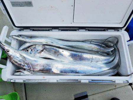 遊漁船　ニライカナイ 釣果