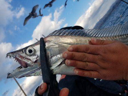 遊漁船 ニライカナイ 釣果