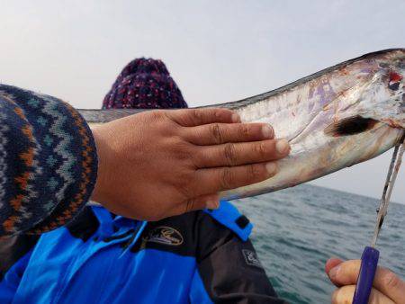 遊漁船　ニライカナイ 釣果
