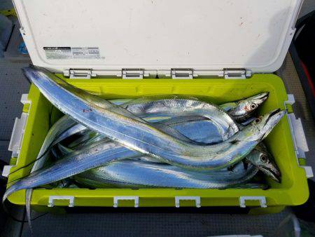 遊漁船　ニライカナイ 釣果