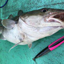 広進丸 釣果