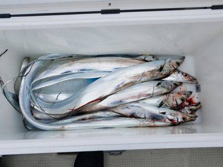 遊漁船　ニライカナイ 釣果