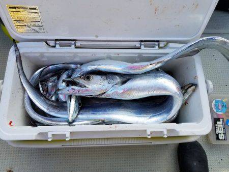 遊漁船 ニライカナイ 釣果