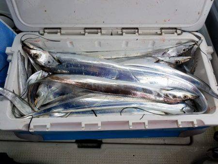 遊漁船　ニライカナイ 釣果